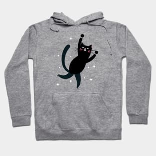 Dancing cat Hoodie